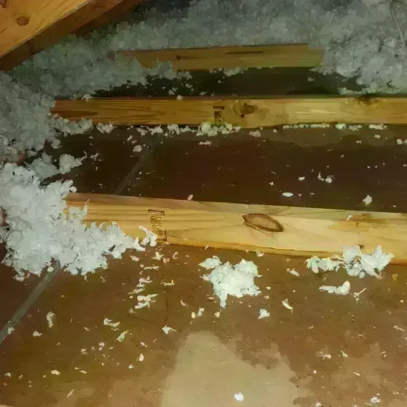 Attic Water Damage in Franklin County, NC