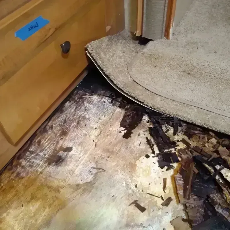 Wood Floor Water Damage in Franklin County, NC